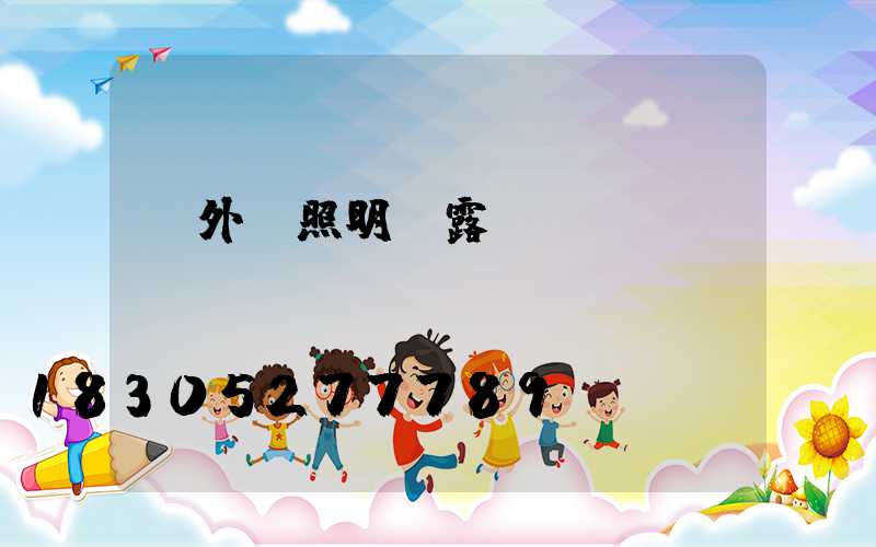 戶外 照明 露營 燈